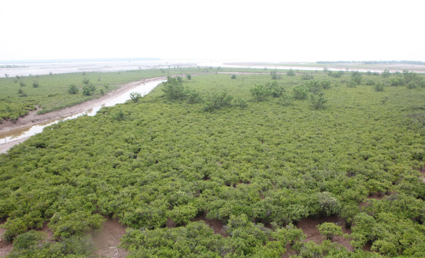 Ninh Bình chính thức có vườn di sản ASEAN đầu tiên khu vực miền Bắc- Ảnh 1.