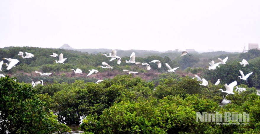 Ninh Bình chính thức có vườn di sản ASEAN đầu tiên khu vực miền Bắc- Ảnh 2.