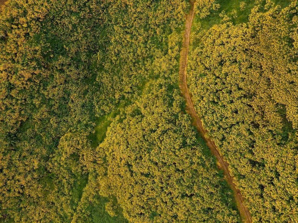 Nơi được mệnh danh là 'tiểu Paris của Việt Nam' có lượt tìm kiếm nhiều nhất trên Google 2025 - ảnh 2