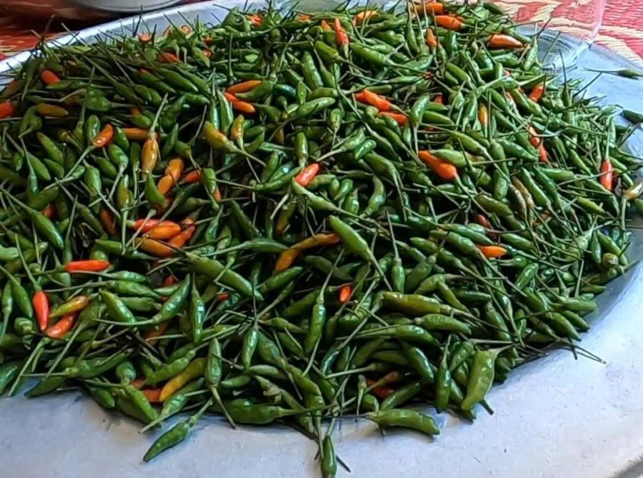 Có một loại quả nhỏ bé giúp trường thọ, vô cùng quen thuộc với người Việt - ảnh 2