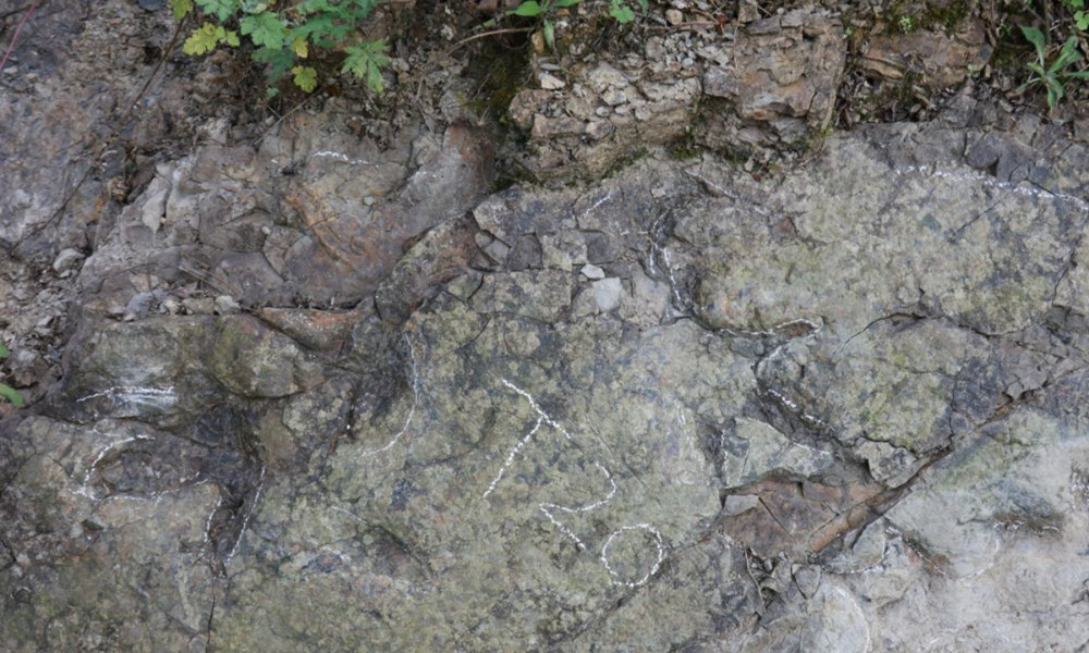 Phát hiện dấu chân khủng long có niên đại hơn 200 triệu năm ở nước cạnh Việt Nam - ảnh 1