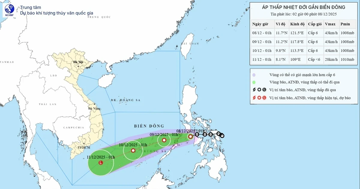 Áp thấp nhiệt đới hình thành, vùng biển Đà Nẵng đến Đắk Lắk có gió giật cấp 7-8