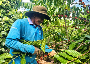 Di sản văn hóa phi vật thể của Việt Nam được đề xuất trình UNESCO ghi danh
