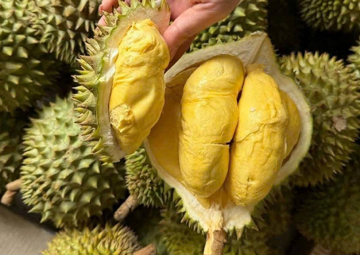 Thu gần 3,34 tỷ USD sau 10 tháng, 'vua trái cây' Việt Nam thành ngôi sao, càn quét thị trường Trung Quốc