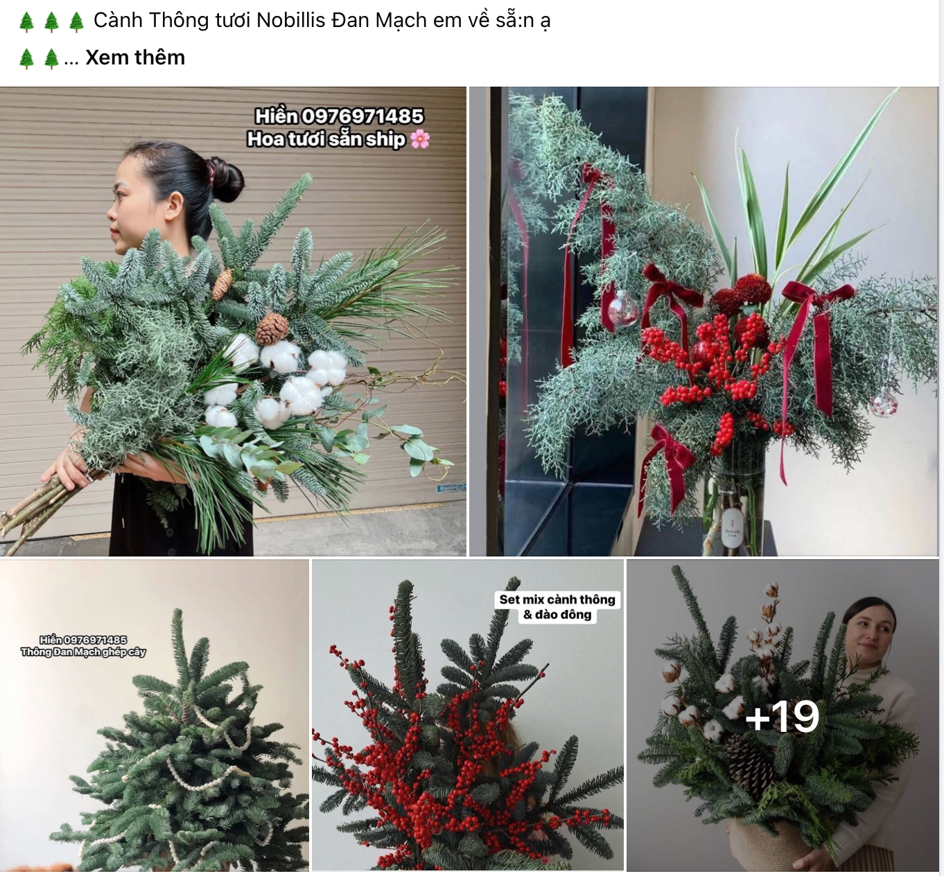 Ảnh màn hình 2025-12-08 lúc 14.03.00