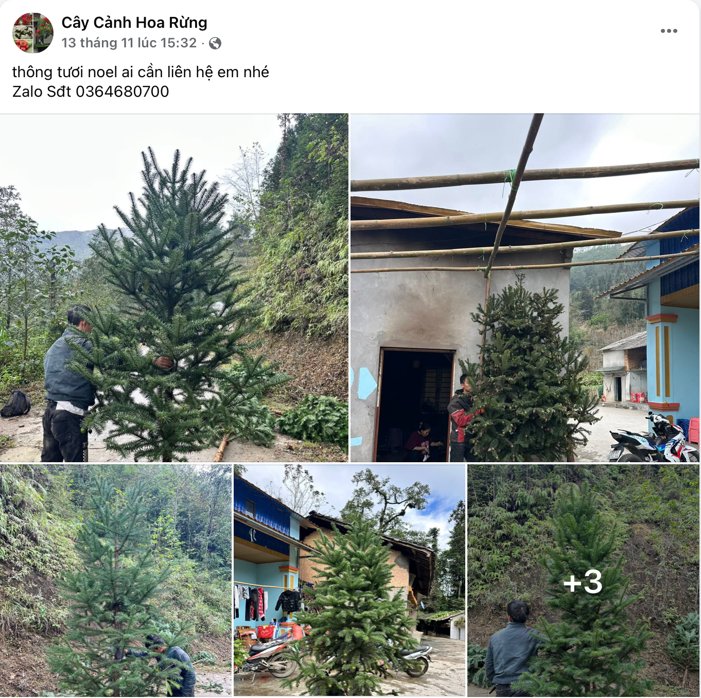 Ảnh màn hình 2025-12-08 lúc 14.01.09