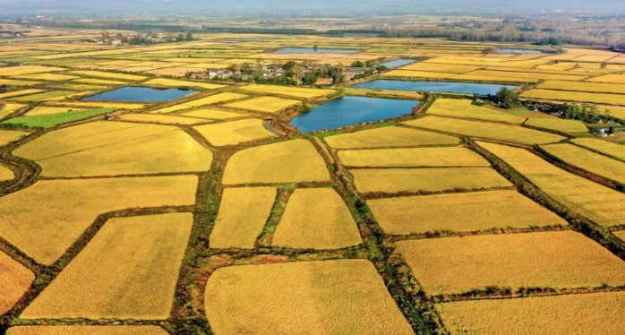 Tới đây, dự kiến sẽ có 2 trường hợp được hoàn tiền sử dụng đất khi chuyển đất nông nghiệp sang đất ở- Ảnh 2.