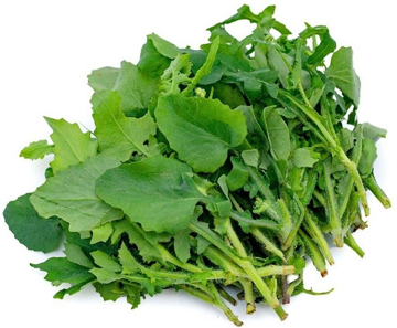 'Rau dại ven đường' nghe tên đáng sợ bất ngờ lên đời thành đặc sản 100.000/kg, quán ngon tranh nhau mua, dân mê ăn sạch săn lùng