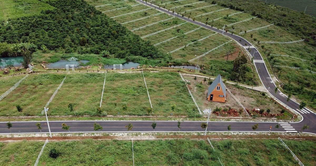 Lộ diện ph&acirc;n kh&uacute;c bất ngờ h&uacute;t nh&agrave; đầu tư trong năm 2025?- Ảnh 1.