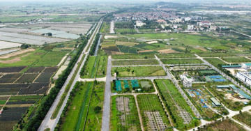 Người chưa từng sở hữu đất ở có được chuyển đổi đất nông nghiệp sang đất ở?