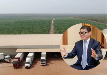 Công ty nông nghiệp của tỷ phú Trần Bá Dương đầu tư dự án sản xuất 3,6 triệu cây giống chuối mỗi năm