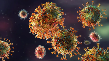 Phát hiện loại virus lây truyền từ chuột có thể gây chết người