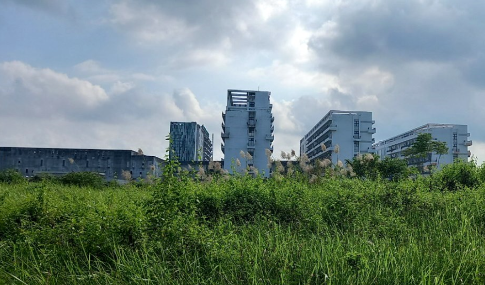 Th&ocirc;ng tin mới nhất về dự &aacute;n Bệnh viện Bạch Mai v&agrave; Việt Đức cơ sở 2, đảm bảo ho&agrave;n th&agrave;nh trong năm 2025 - ảnh 2