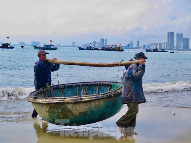 Kiếm bộn tiền với nghề 'săn' t&ocirc;m h&ugrave;m giống tr&ecirc;n biển ảnh 4