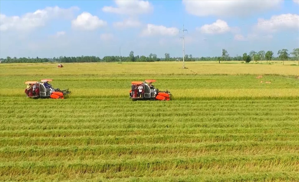 Từ b&acirc;y giờ, chuyển đất trồng l&uacute;a sang đất ở tr&aacute;i ph&eacute;p bị phạt bao nhi&ecirc;u tiền?- Ảnh 1.
