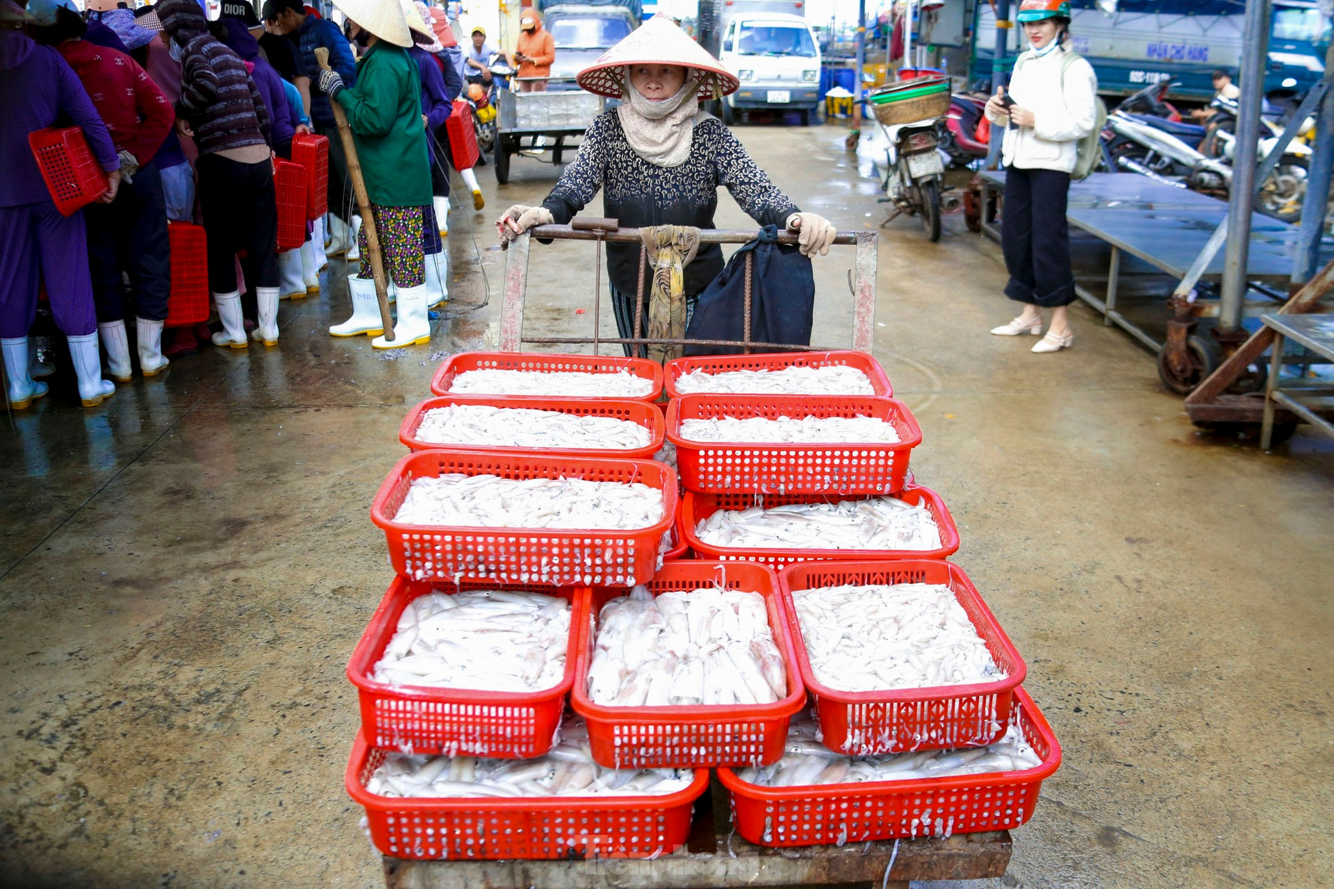 Mực tươi đầy ắp, mua b&aacute;n nhộn nhịp ở cảng c&aacute; lớn nhất miền Trung ảnh 17
