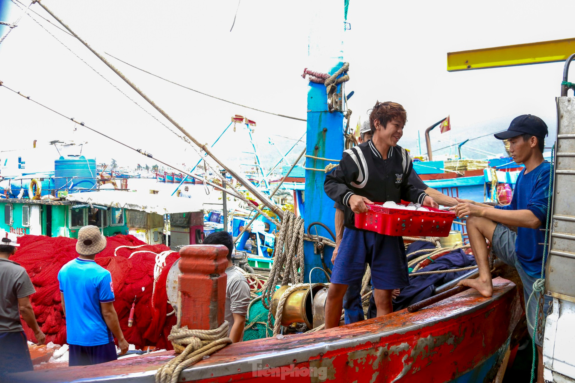 Mực tươi đầy ắp, mua b&aacute;n nhộn nhịp ở cảng c&aacute; lớn nhất miền Trung ảnh 19