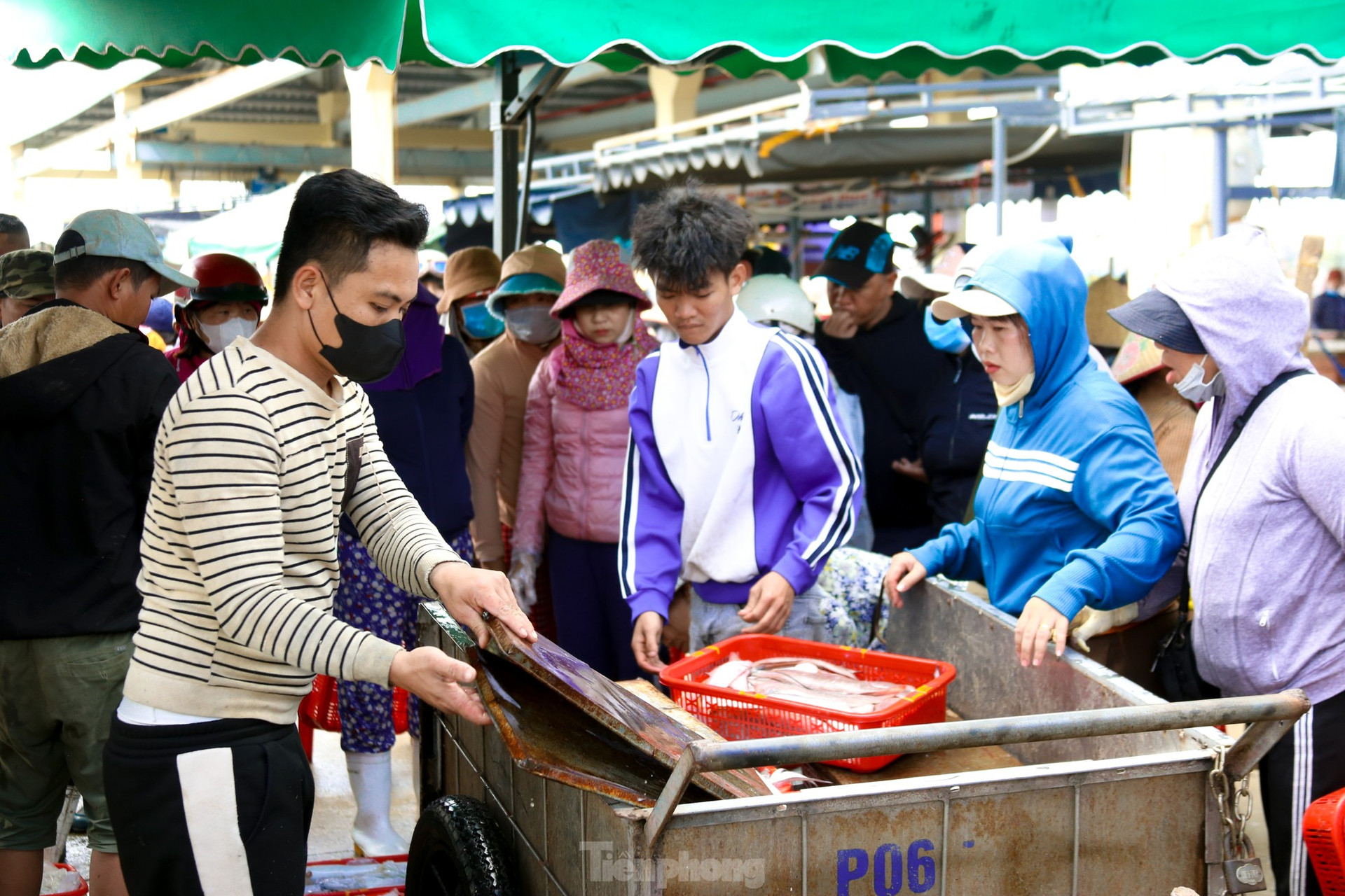 Mực tươi đầy ắp, mua b&aacute;n nhộn nhịp ở cảng c&aacute; lớn nhất miền Trung ảnh 16
