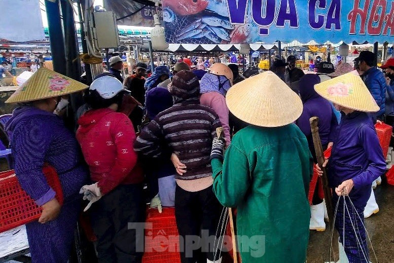 Mực tươi đầy ắp, mua b&aacute;n nhộn nhịp ở cảng c&aacute; lớn nhất miền Trung ảnh 12