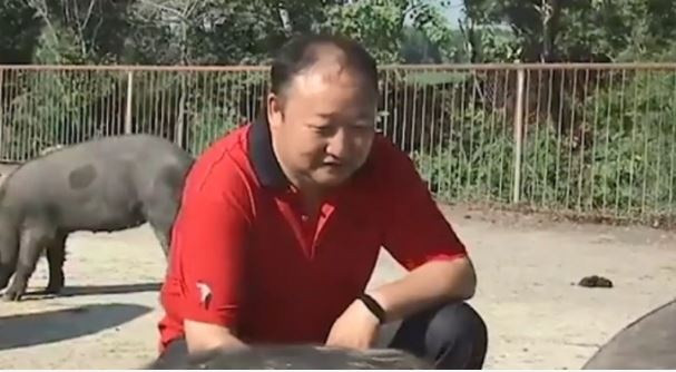 Tận dụng b&atilde; rượu để tạo ra thương hiệu 'lợn say' độc lạ, người đ&agrave;n &ocirc;ng gi&uacute;p cả l&agrave;ng l&agrave;m gi&agrave;u kiếm hơn 100 tỷ mỗi năm