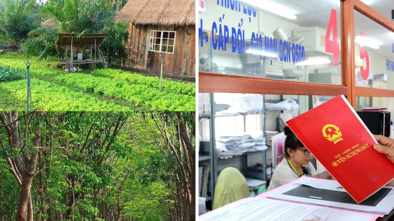 Từ nay, khi chuyển mục đ&iacute;ch sang đất ở, người d&acirc;n bắt buộc phải nộp 4 khoản tiền n&agrave;y- Ảnh 1.