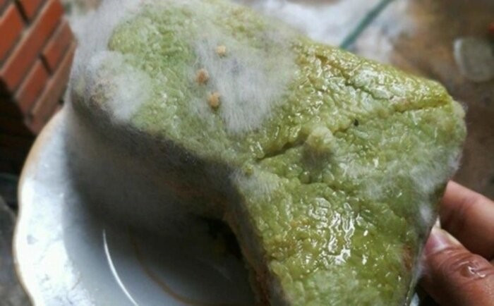 B&aacute;nh chưng sau Tết c&oacute; thể trở th&agrave;nh nguồn cơn g&acirc;y ung thư, thấy dấu hiệu n&agrave;y cần phải vứt bỏ lập tức - ảnh 1
