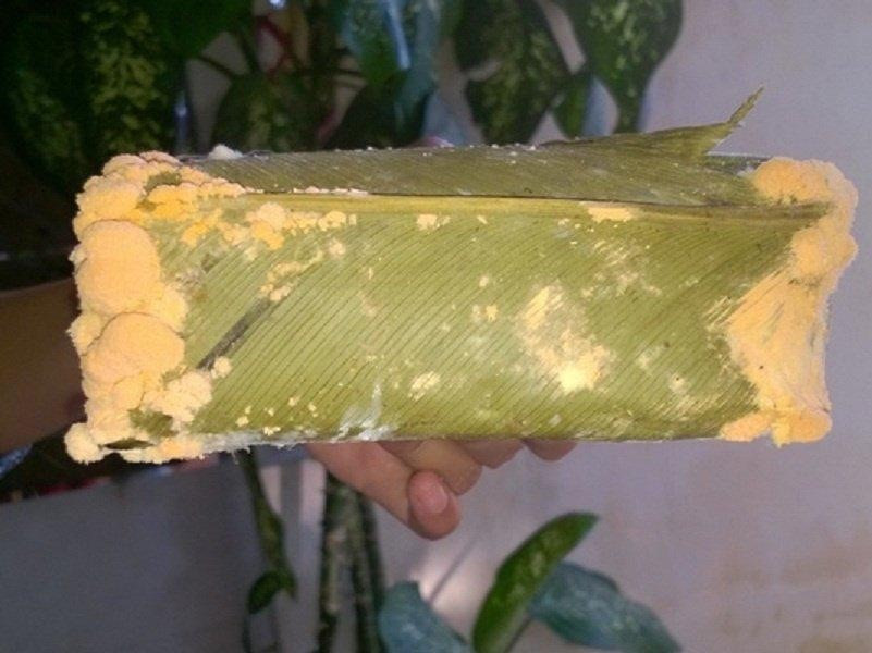 B&aacute;nh chưng sau Tết c&oacute; thể trở th&agrave;nh nguồn cơn g&acirc;y ung thư, thấy dấu hiệu n&agrave;y cần phải vứt bỏ lập tức - ảnh 2