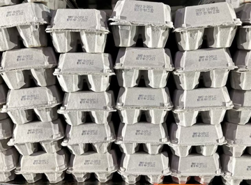 Mỹ bị đánh cắp 100.000 quả trứng giữa lúc 'lạm phát', cảnh sát 'đau đầu' khi 5 ngày trôi qua vẫn chưa tìm được manh mối