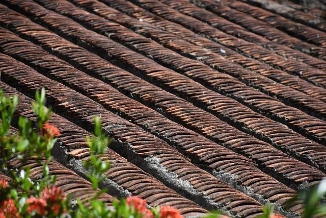 Căn nh&agrave; cổ 200 tuổi hiếm c&oacute; được dựng ho&agrave;n to&agrave;n bằng gỗ m&iacute;t, c&oacute; tầng hầm chứa được 10 người - ảnh 4