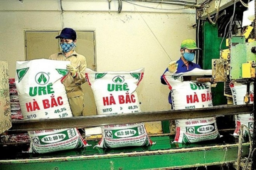 Đạm Hà Bắc (DHB) đã lỗ luỹ kế 2.100 tỷ đồng, còn nợ VietinBank (CTG) đến 1.600 tỷ