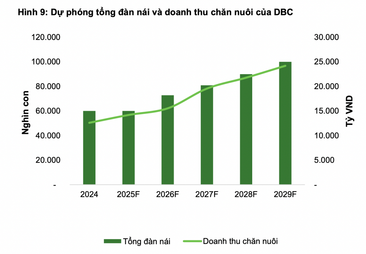 Ngành chăn nuôi đón tín hiệu vui, VCBS dự báo lợi nhuận năm 2025 của Dabaco (<a style='text-decoration: none;' href='/DBC'>DBC</a>) có thể vượt 1.600 tỷ