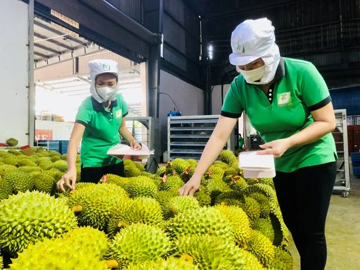Trái cây Việt ra sao khi Trung Quốc tăng nhập khẩu của nước khác?