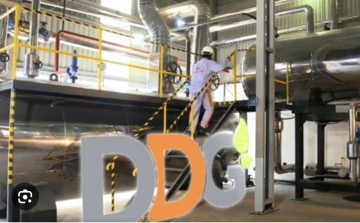 Trái chủ yêu cầu xử lý tài sản đảm bảo lô trái phiếu 300 tỷ của Đông Dương (DDG), bên quản lý là Vietcombank (VCB)