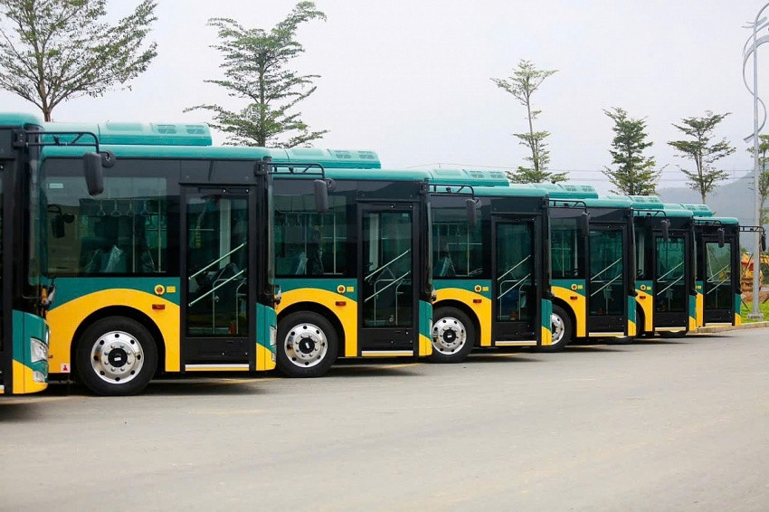Phương Trang vừa trúng gói thầu lớn tại TP. HCM, được khai thác 557 xe buýt