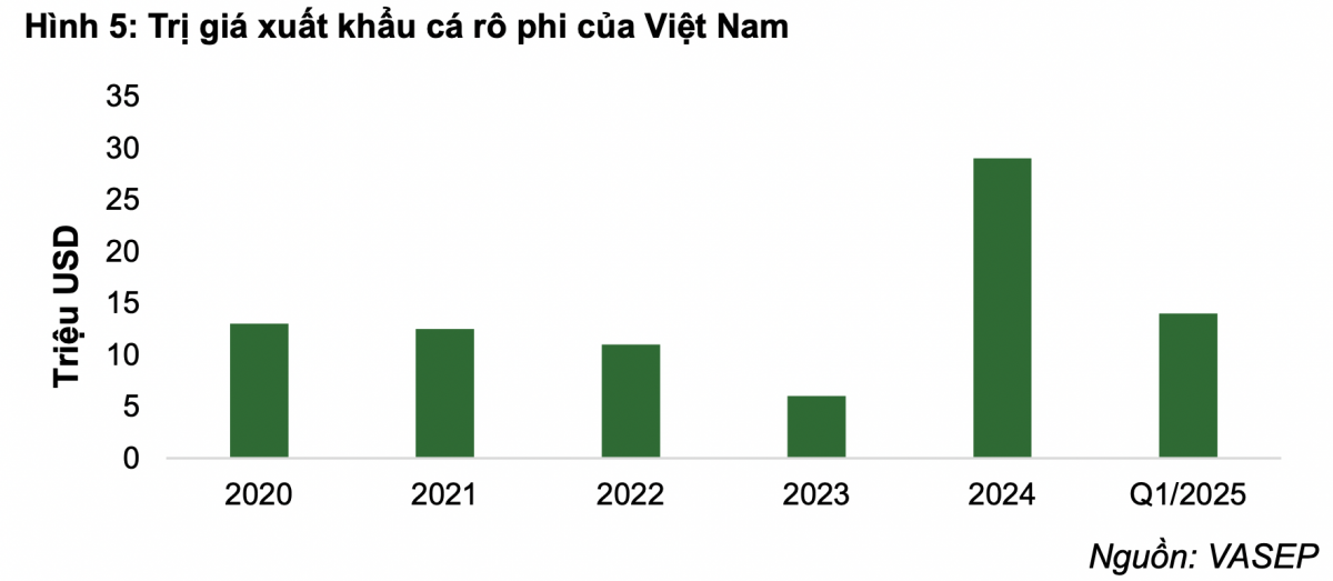Tăng tốc xuất khẩu vào Mỹ trước thời hạn áp thuế đối ứng, một doanh nghiệp thuỷ sản được dự báo lãi tăng 1.000%