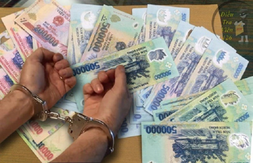Khởi tố vụ án liên quan đến một nữ đại gia ở Tiền Giang