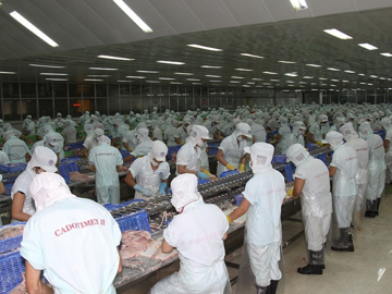 Doanh nghiệp thủy sản 'rỗng ruột' sau 10 năm, loạt ngân hàng dài cổ chờ thu hồi vốn