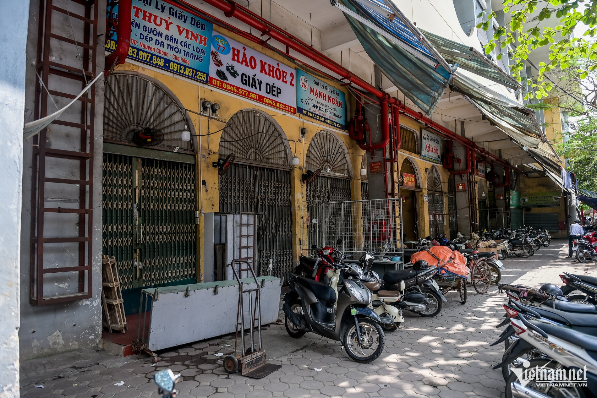 W-Rồng_10.jpg