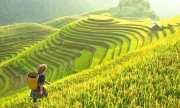 Điểm khó của du lịch nội địa dịp hè, doanh nghiệp du lịch nhanh chóng điều chỉnh