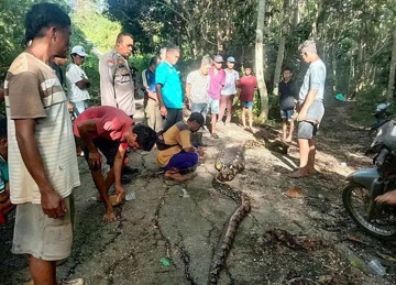 Bi kịch kinh hoàng ở thiên đường du lịch Đông Nam Á, tìm thấy nạn nhân trong bụng con trăn dài 9m