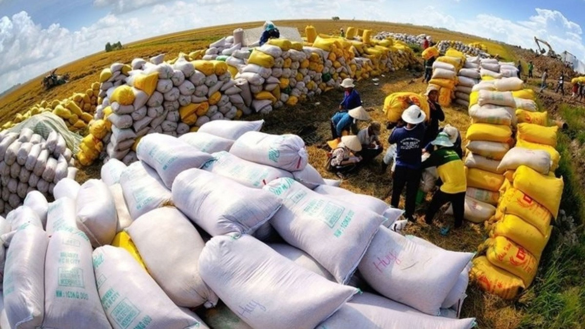 Vượt Thái Lan, mặt hàng này của Việt Nam vươn lên xuất khẩu top 2 thế giới, có mặt tại 150 quốc gia