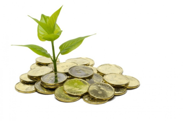 5 doanh nghiệp sắp chốt quyền nhận cổ tức bằng tiền, cao nhất 15%
