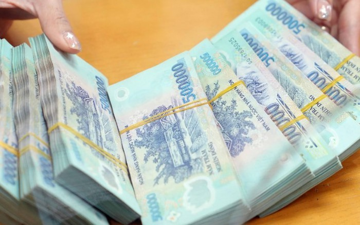 Truy tố nữ Giám đốc điều hành 2 doanh nghiệp