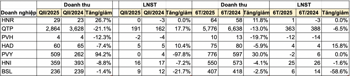 Thêm nhiều doanh nghiệp công bố BCTC quý II/2025: Lợi nhuận phân hoá mạnh