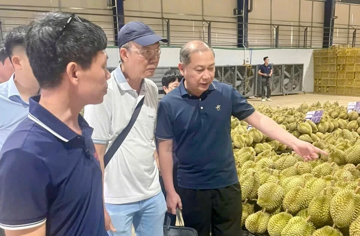 Chuyên gia Trung Quốc giám sát vùng trồng sầu riêng Lâm Đồng