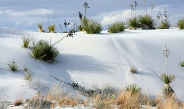 MINCO - doanh nghiệp chuyên bán cát trắng silica - sắp chốt quyền chia cổ tức tỷ lệ 55%