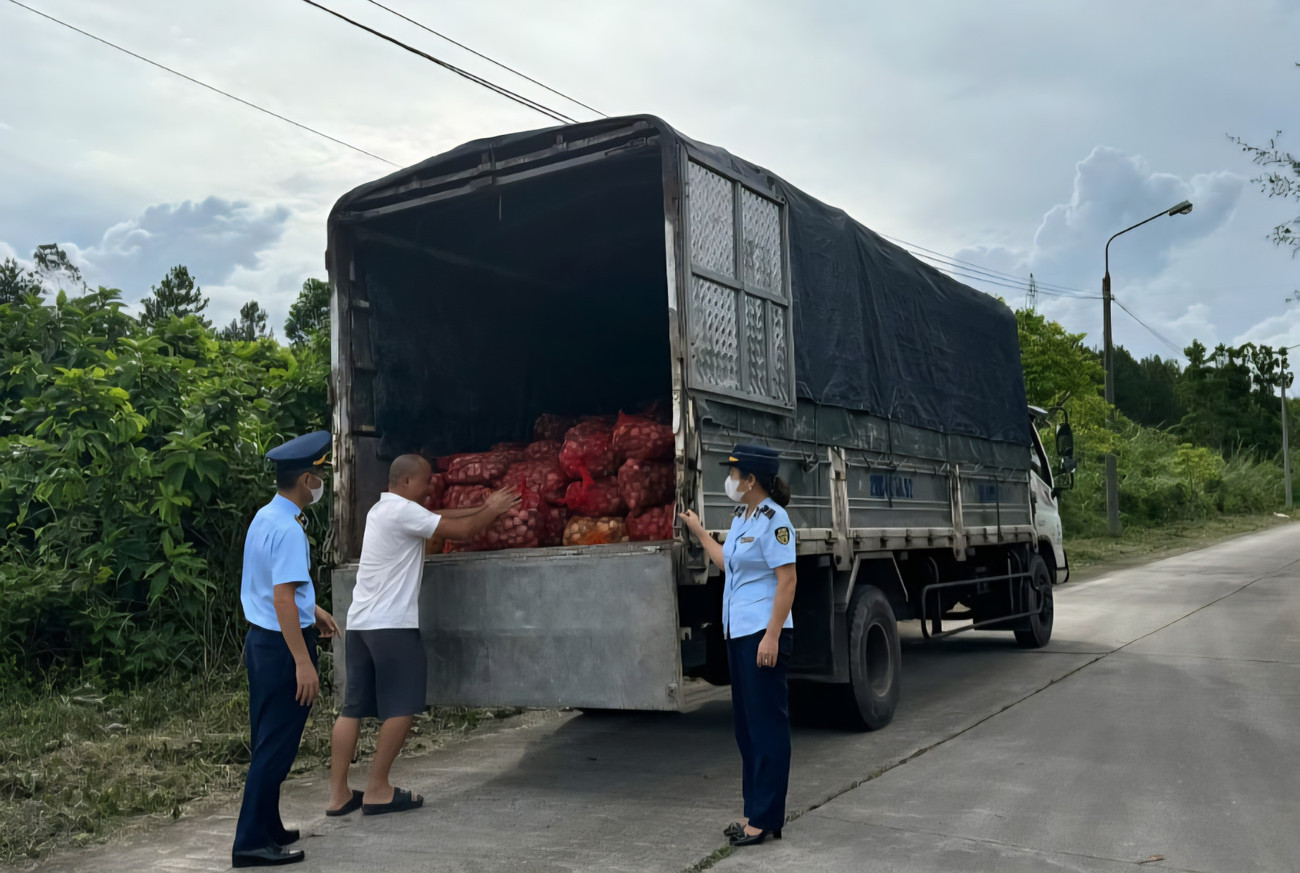 Lực lượng Quản lý thị trường ngăn chặn vụ vận chuyển hàu nhập lậu bằng xe tải vào nội địa. 1000022433.jpg