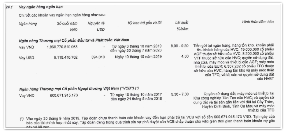 Thủy sản Hùng Vương (<a style='text-decoration: none;' href='/HVG'>HVG</a>) 'ôm' khối nợ 2.500 tỷ tại Vietcombank, BIDV trước khi dừng công bố BCTC