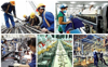 Nhận thức rõ về Kinh tế Nhà nước: Từ khái niệm tới thực tiễn