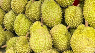 Sầu riêng phục hồi, dừa, xoài, chanh leo tăng tốc: Ngành rau quả đón tin vui lớn